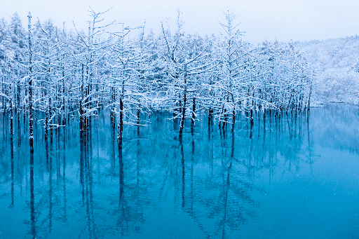 Top các địa điểm đáng đi nhất ở Hokkaido vào mùa đông bạn không nên bỏ lỡ
