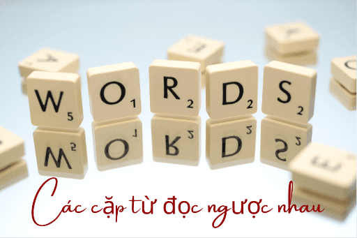 Học từ vựng thú vị hơn với các cặp từ có cách đọc ngược nhau