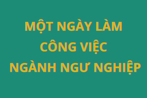 Một ngày làm công việc về ngư nghiệp diễn ra như thế nào?