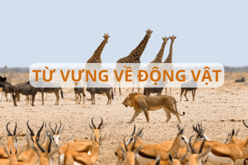 Từ vựng tiếng Nhật về chủ đề Động vật