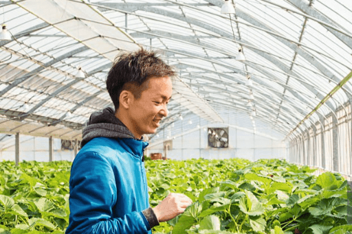 Giới thiệu ngành tokutei Gino - Nông nghiệp tại Nhật Bản